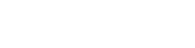 Patrick Taels logo