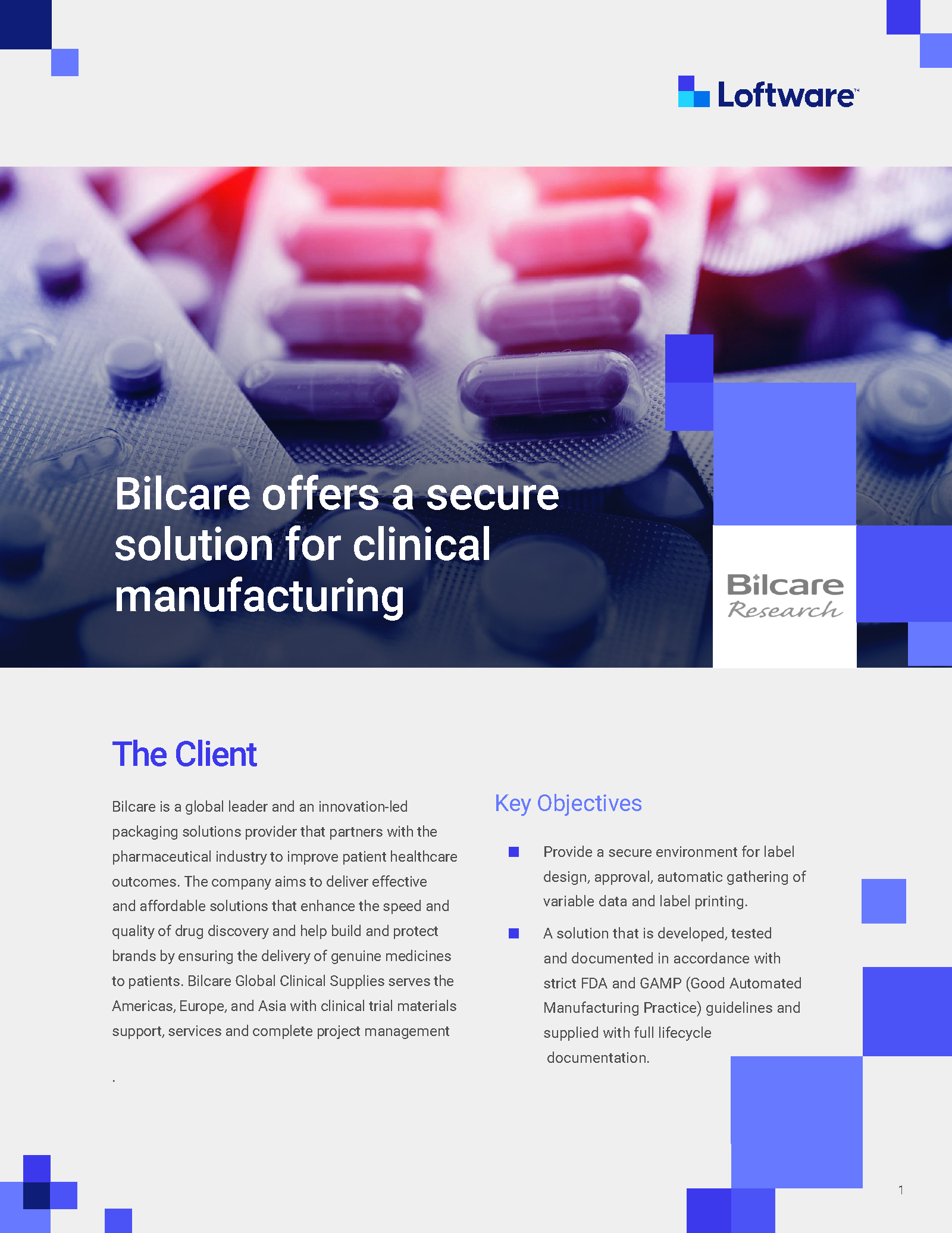 CS-bilcare-image